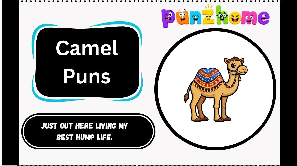 Camel Puns