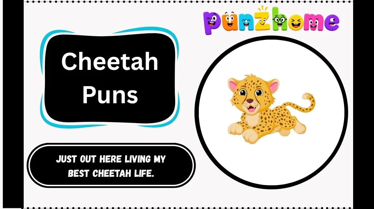 Cheetah Puns