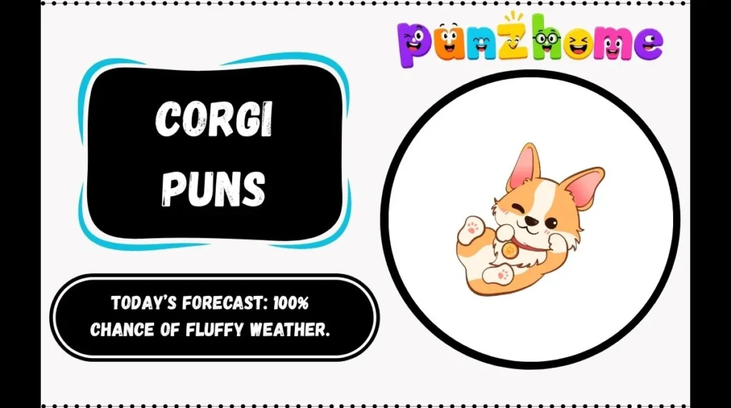 Corgi Puns