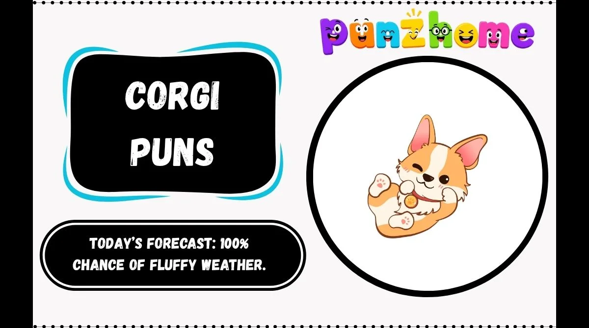 Corgi Puns