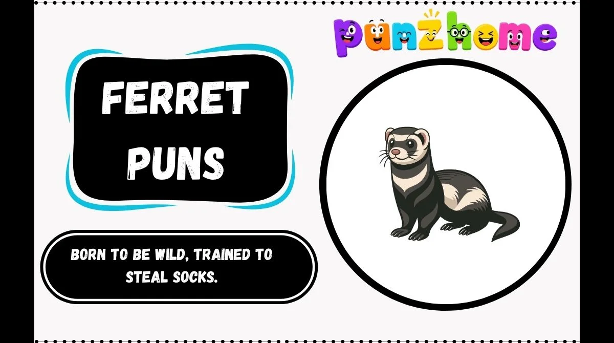 Ferret Puns