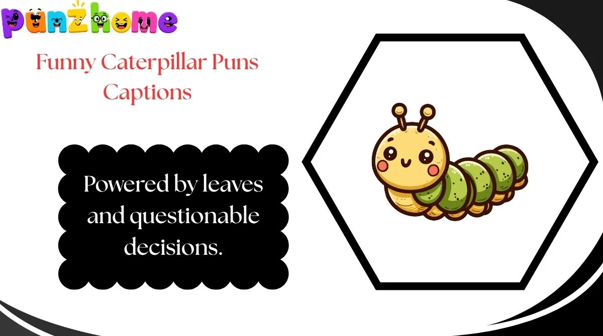 Funny Caterpillar Puns Captions