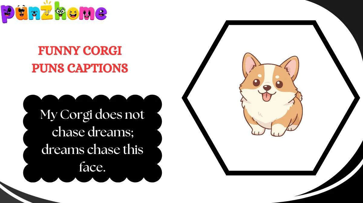 Funny Corgi Puns Captions
