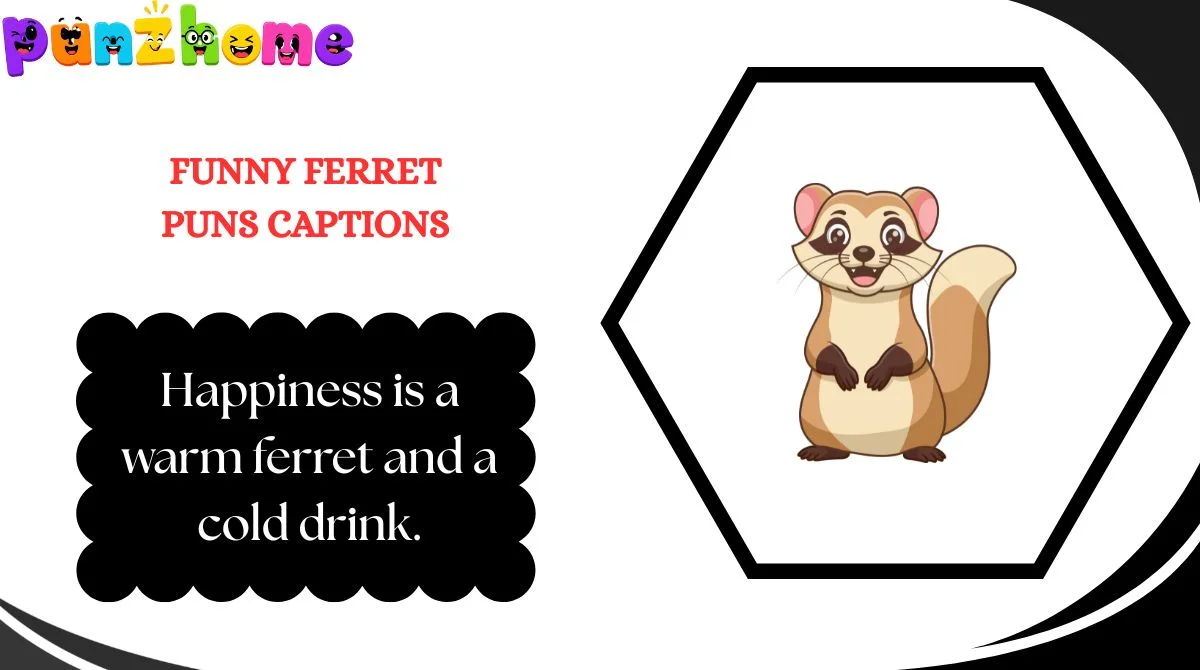 Funny Ferret Puns Captions