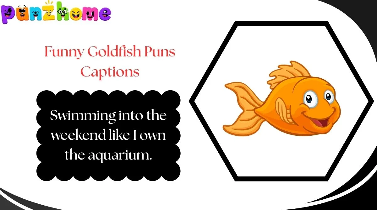 Funny Goldfish Puns Captions
