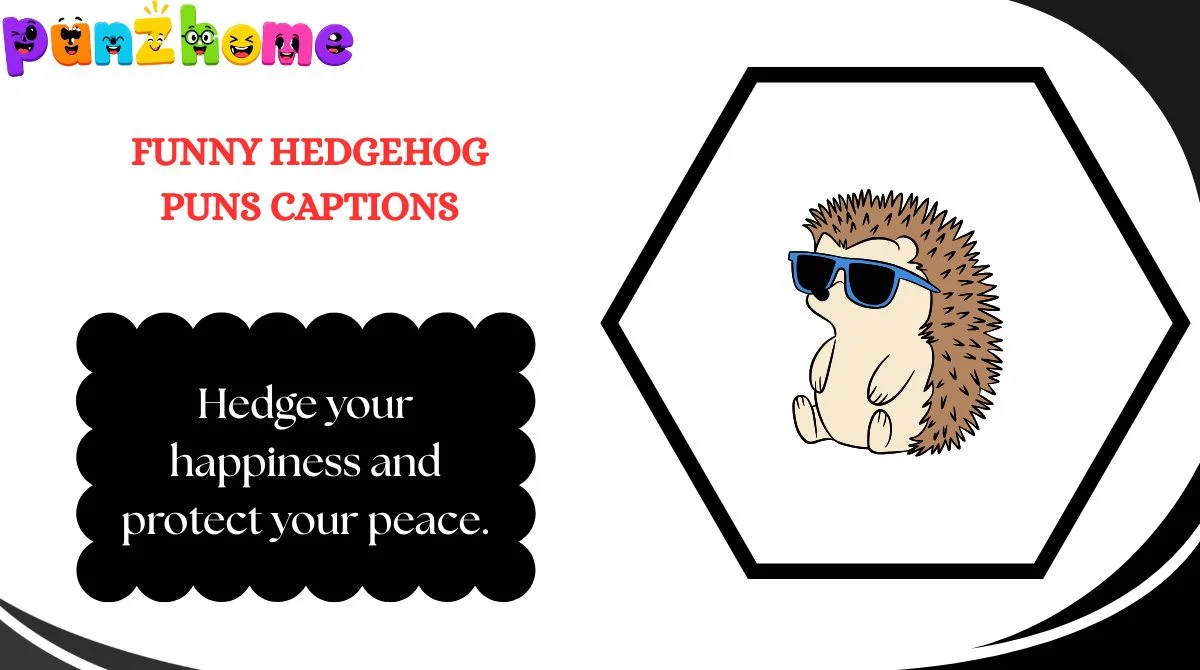 Funny Hedgehog Puns Captions