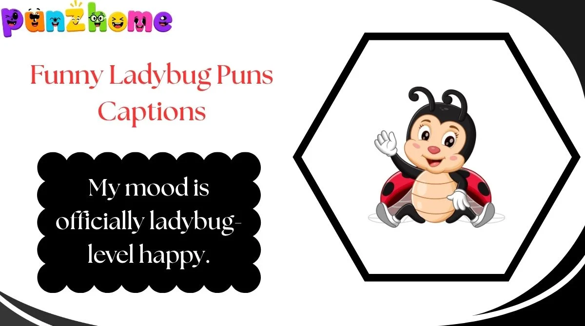 Funny Ladybug Puns Captions