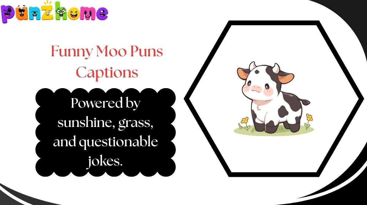 Funny Moo Puns Captions