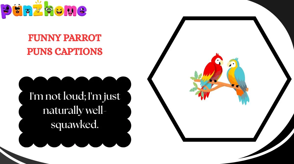 Funny Parrot Puns Captions