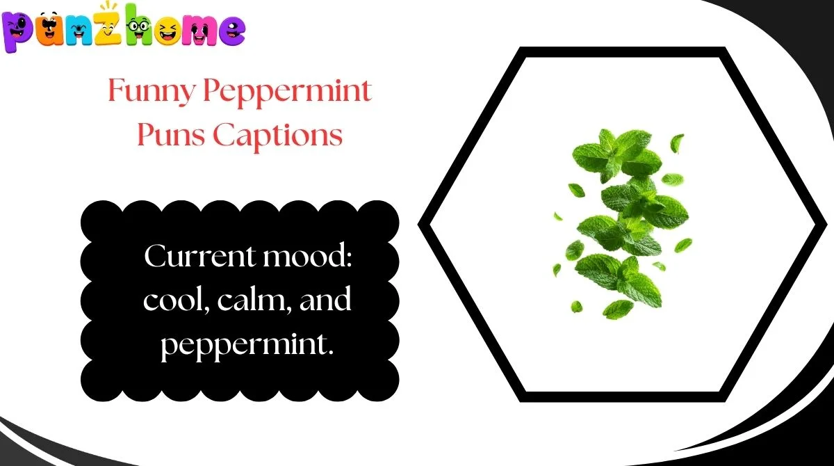 Funny Peppermint Puns Captions