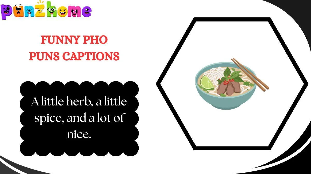 Funny Pho Puns Captions