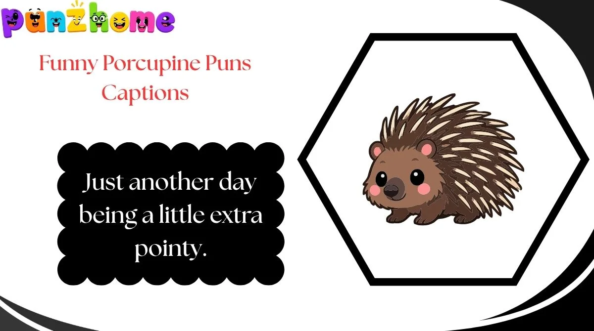 Funny Porcupine Puns Captions