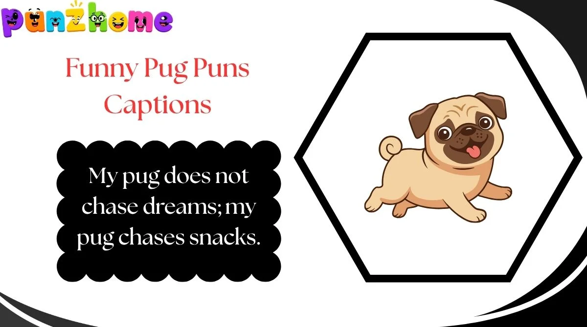 Funny Pug Puns Captions