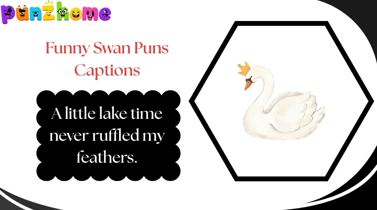 Funny Swan Puns Captions