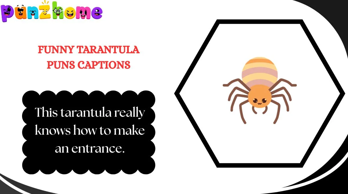 Funny Tarantula Puns Captions