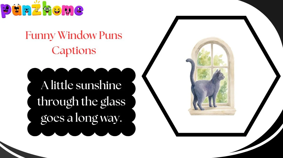 Funny Window Puns Captions