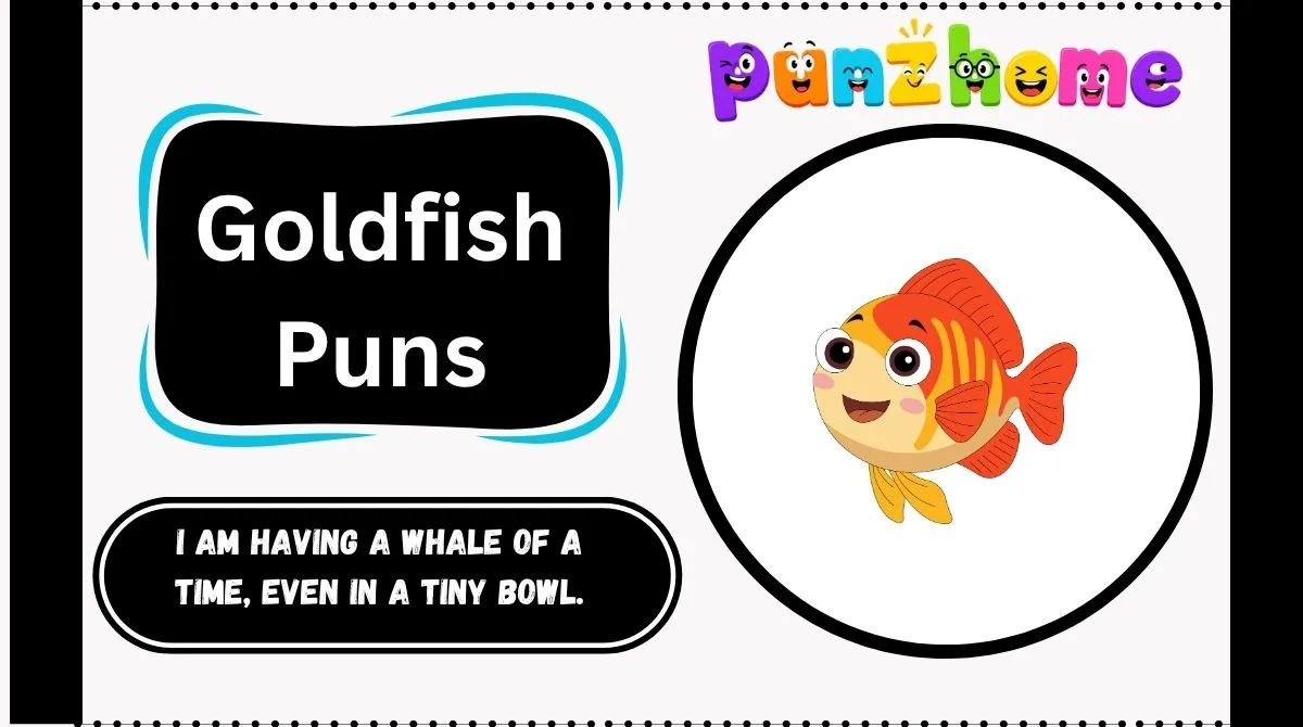 Goldfish Puns