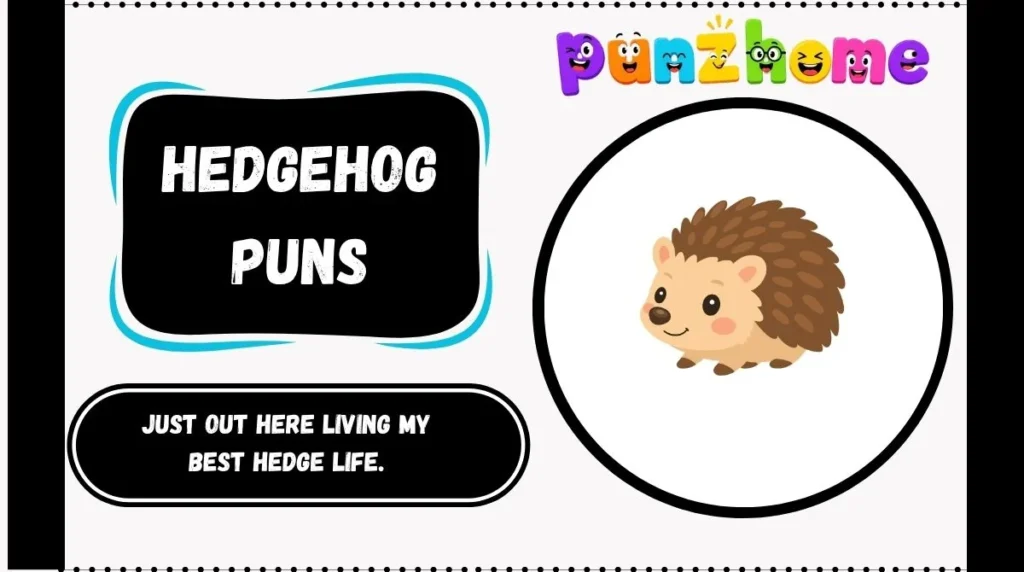 Hedgehog Puns
