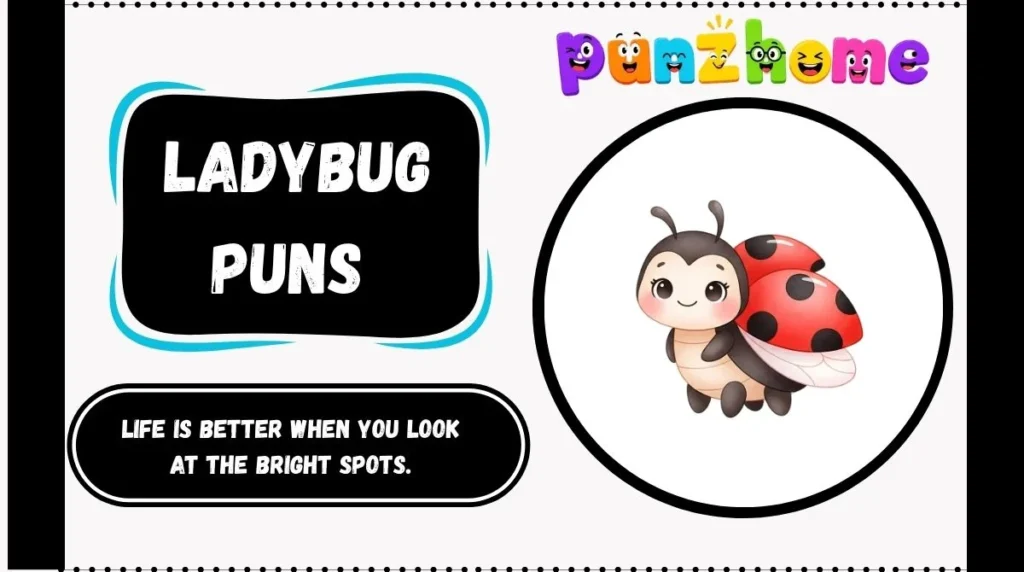 Ladybug Puns