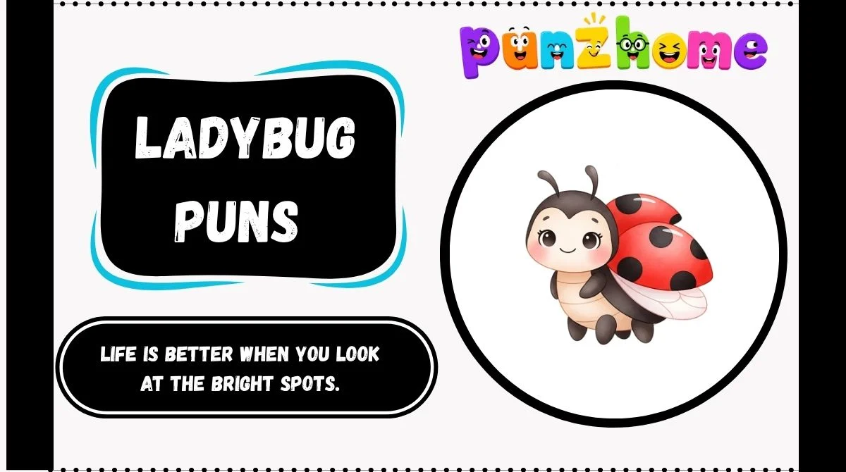 Ladybug Puns