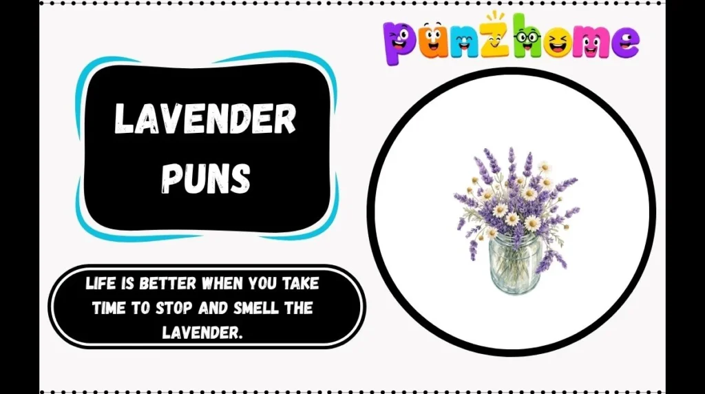 Lavender Puns