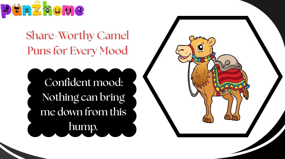 Share-Worthy Camel Puns for Every Mood