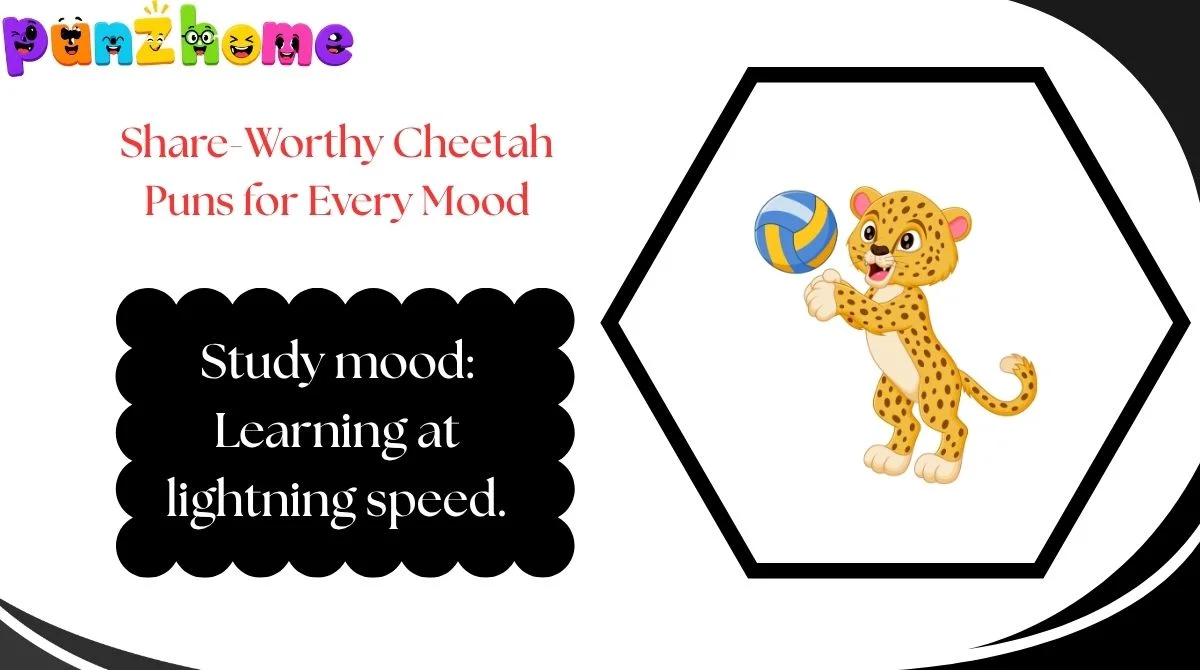 Share-Worthy Cheetah Puns for Every Mood