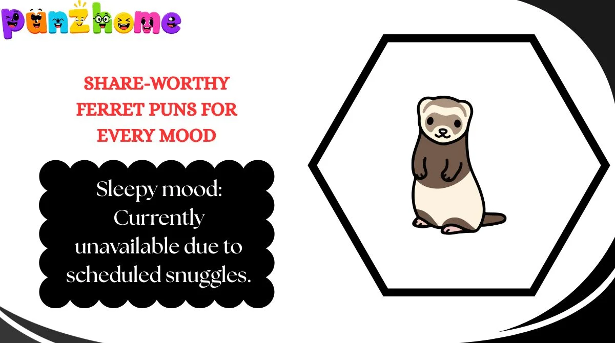 Share-Worthy Ferret Puns for Every Mood