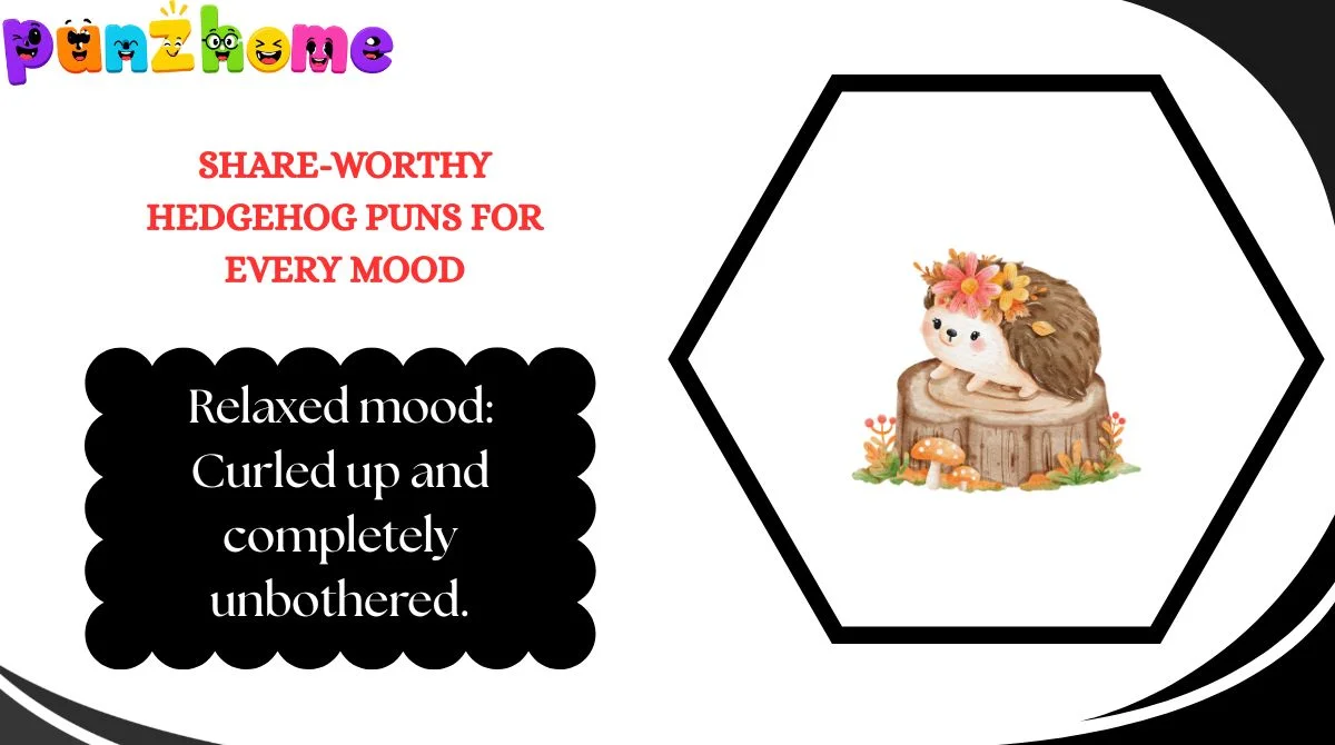 Share-Worthy Hedgehog Puns for Every Mood