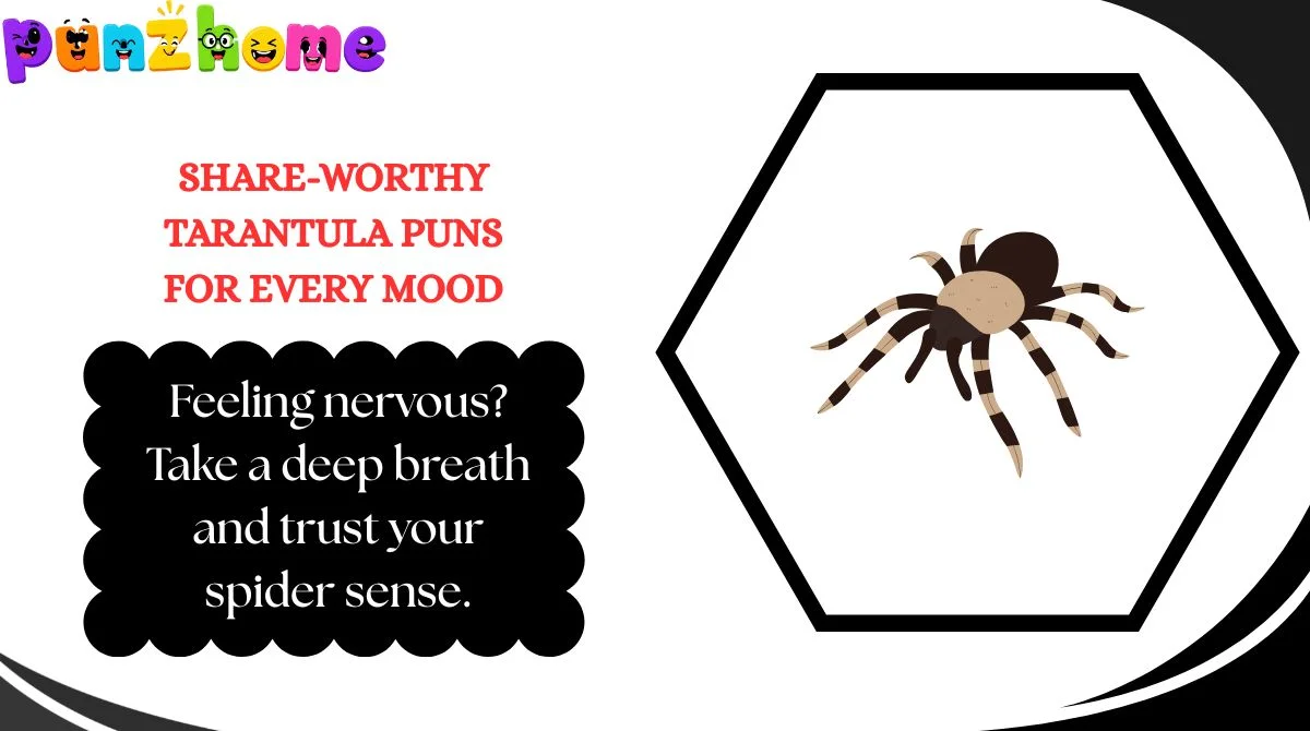 Share-Worthy Tarantula Puns for Every Mood