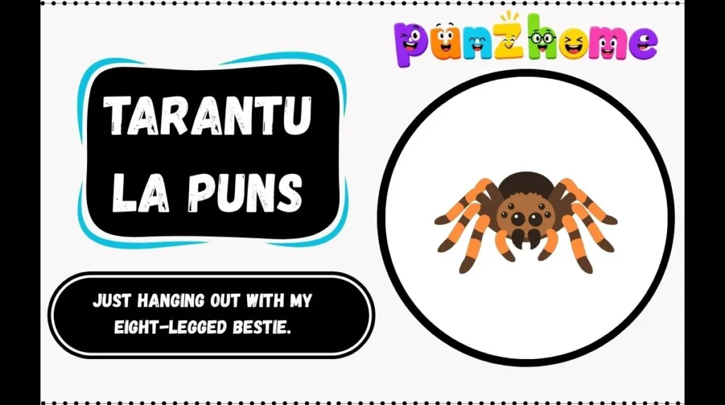 Tarantula Puns