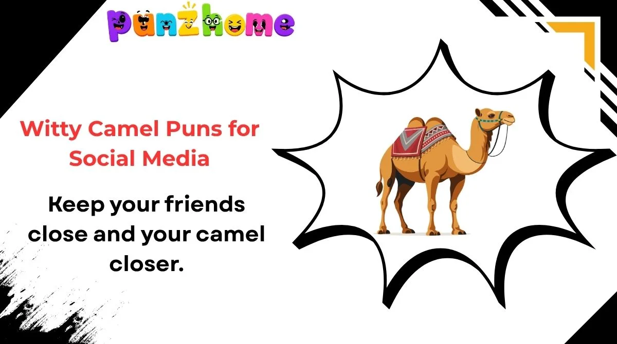 Witty Camel Puns for Social Media