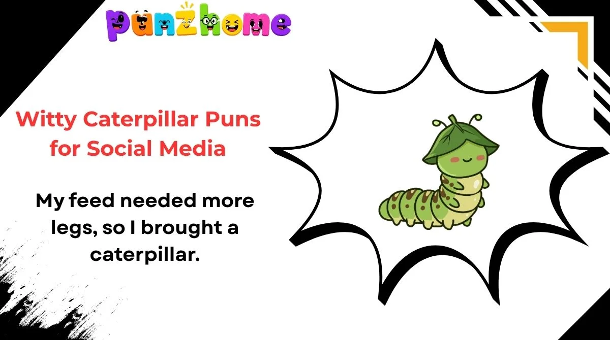 Witty Caterpillar Puns for Social Media