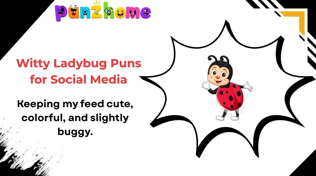 Witty Ladybug Puns for Social Media