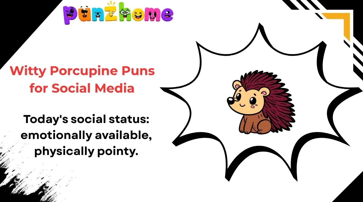 Witty Porcupine Puns for Social Media