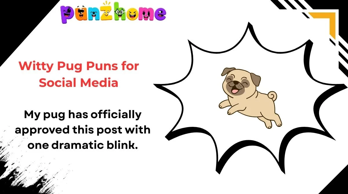 Witty Pug Puns for Social Media