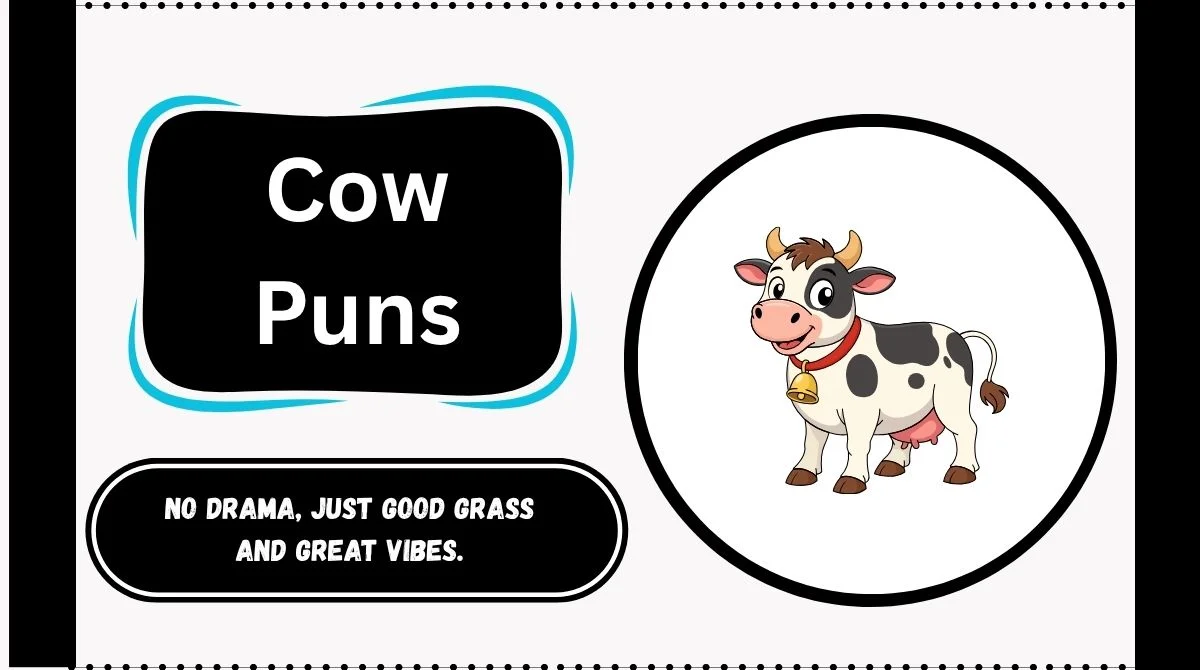 Cow Puns