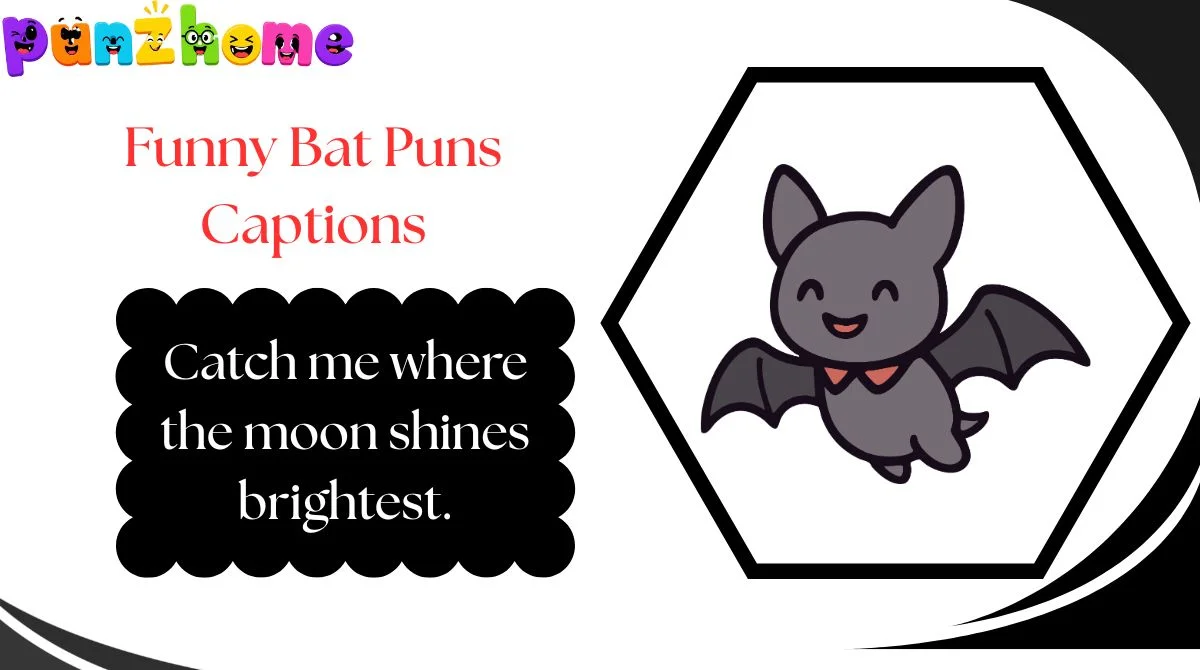 Funny Bat Puns Captions