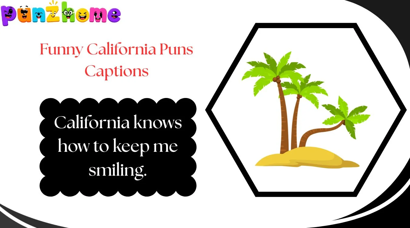 Funny California Puns Captions