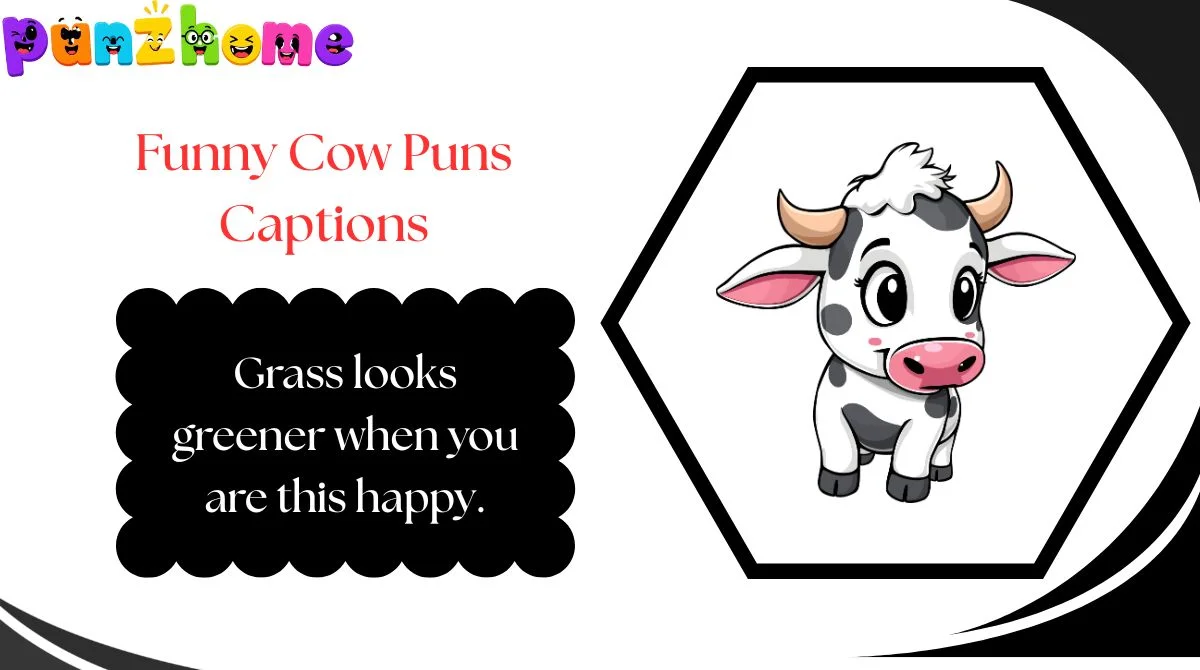 Funny Cow Puns Captions