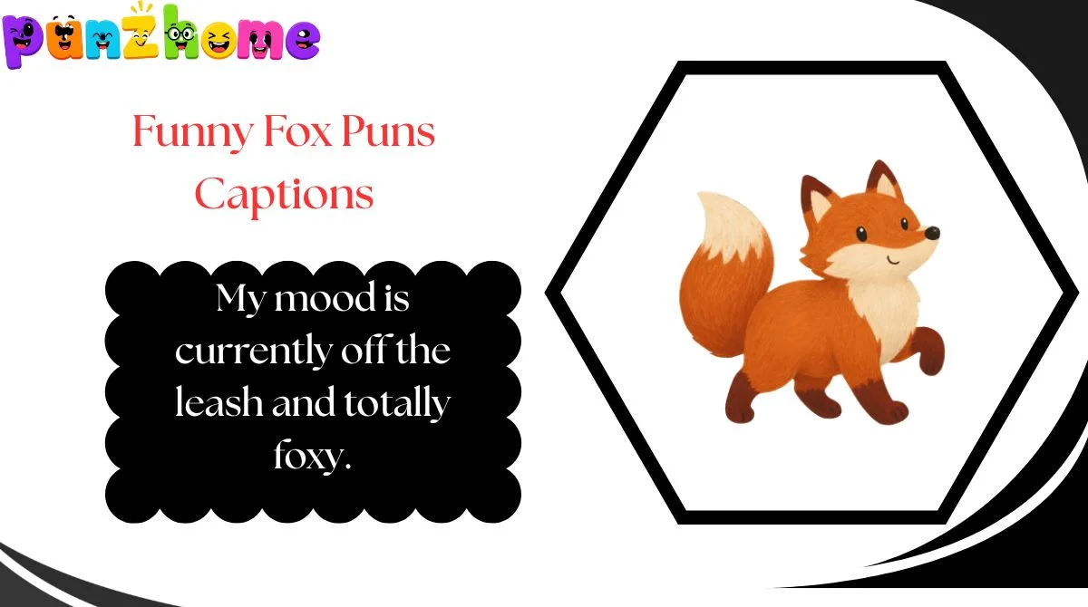 Funny Fox Puns Captions
