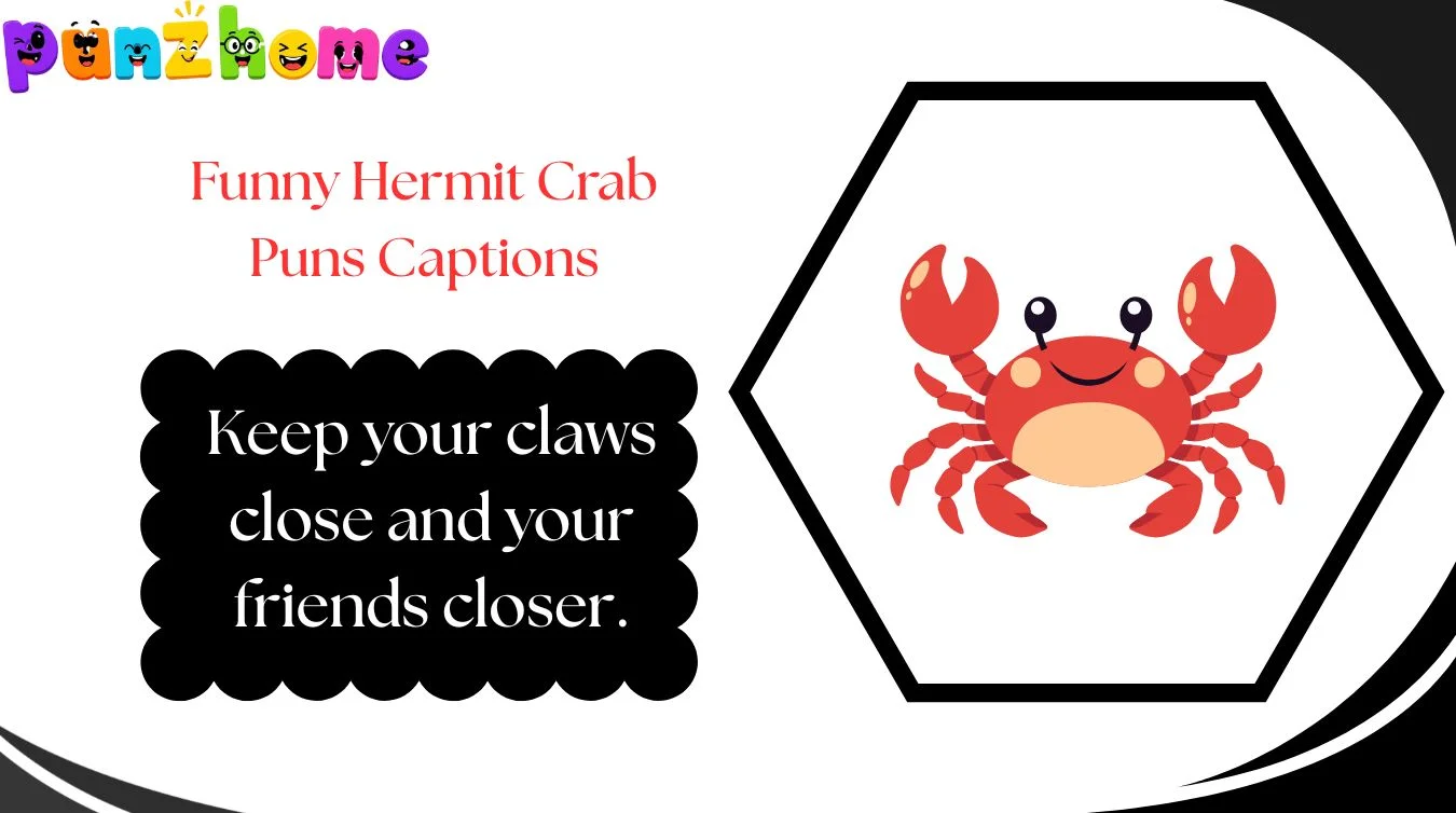 Funny Hermit Crab Puns Captions