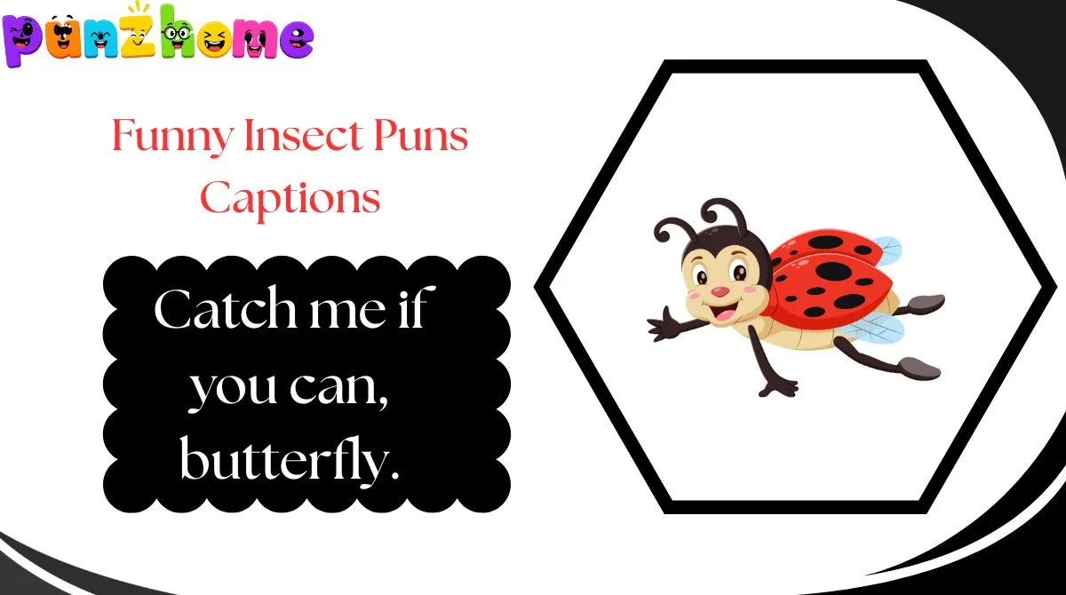 Funny Insect Puns Captions
