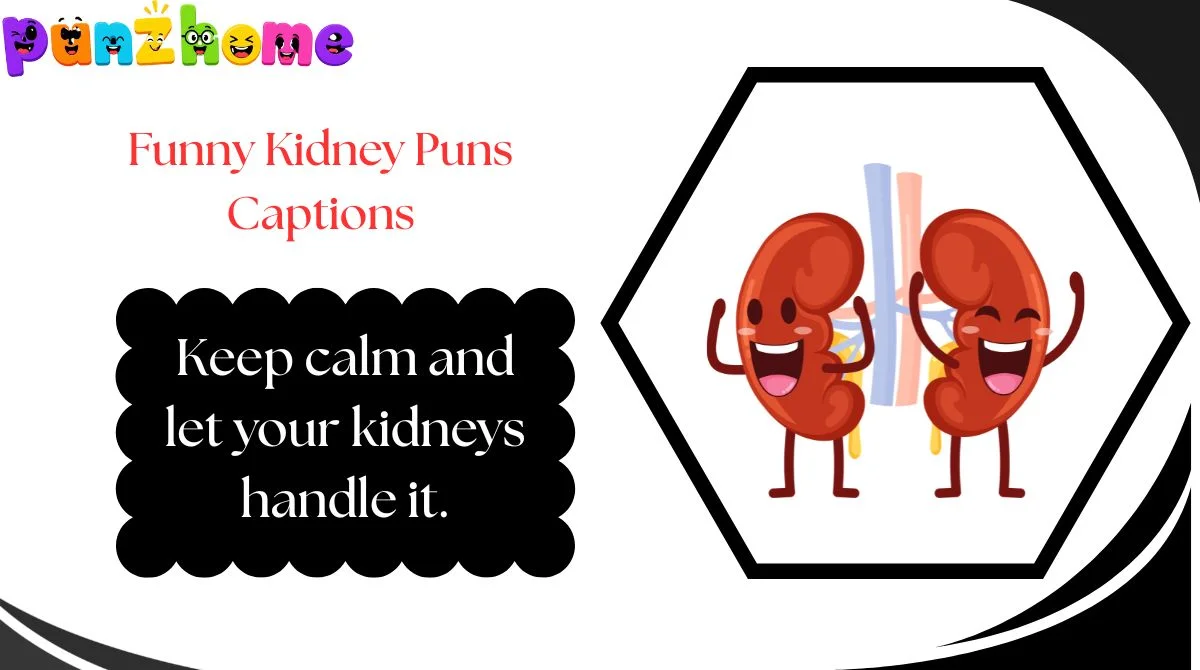 Funny Kidney Puns Captions