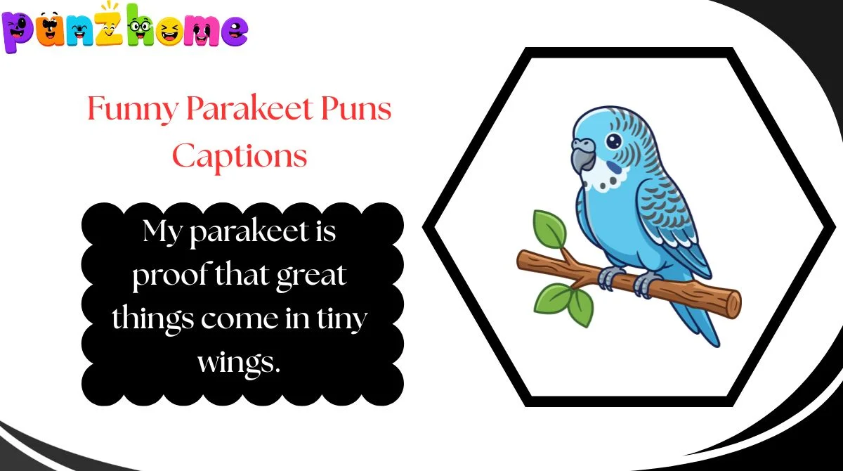 Funny Parakeet Puns Captions