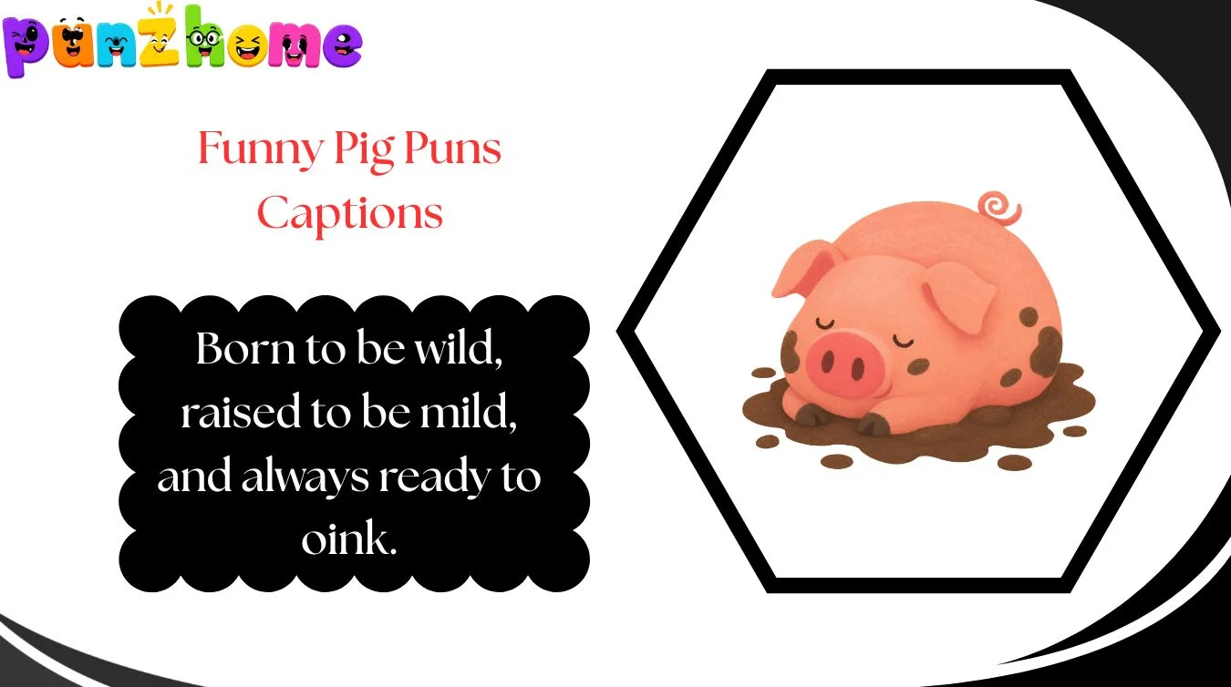 Funny Pig Puns Captions