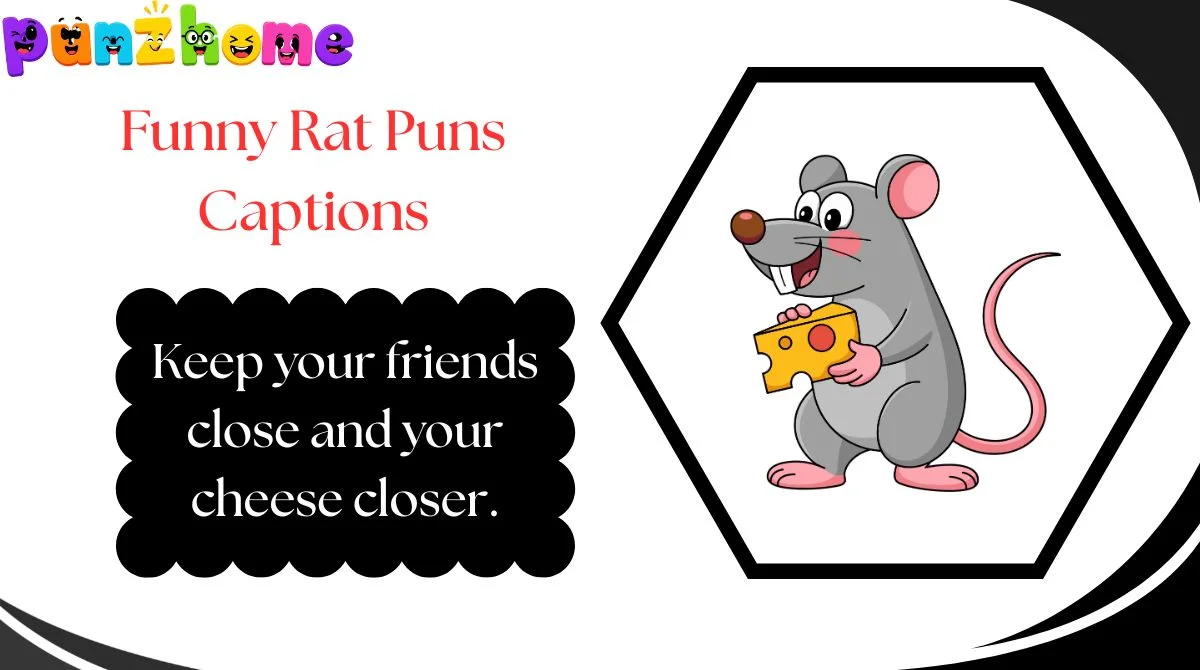Funny Rat Puns Captions