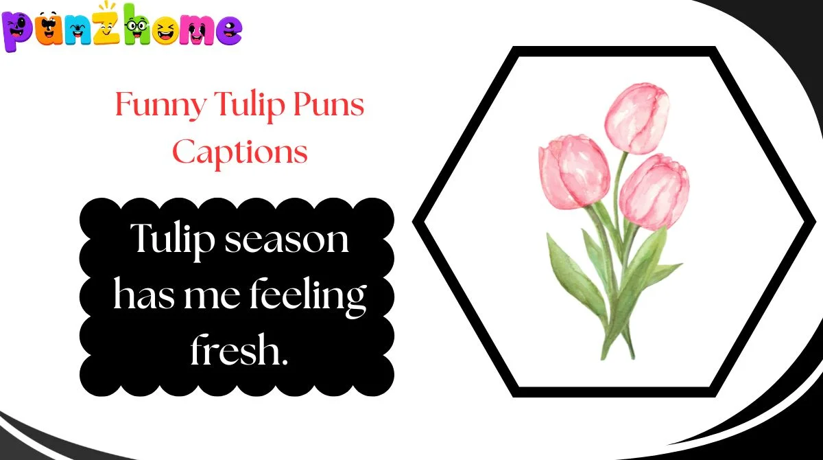 Funny Tulip Puns Captions