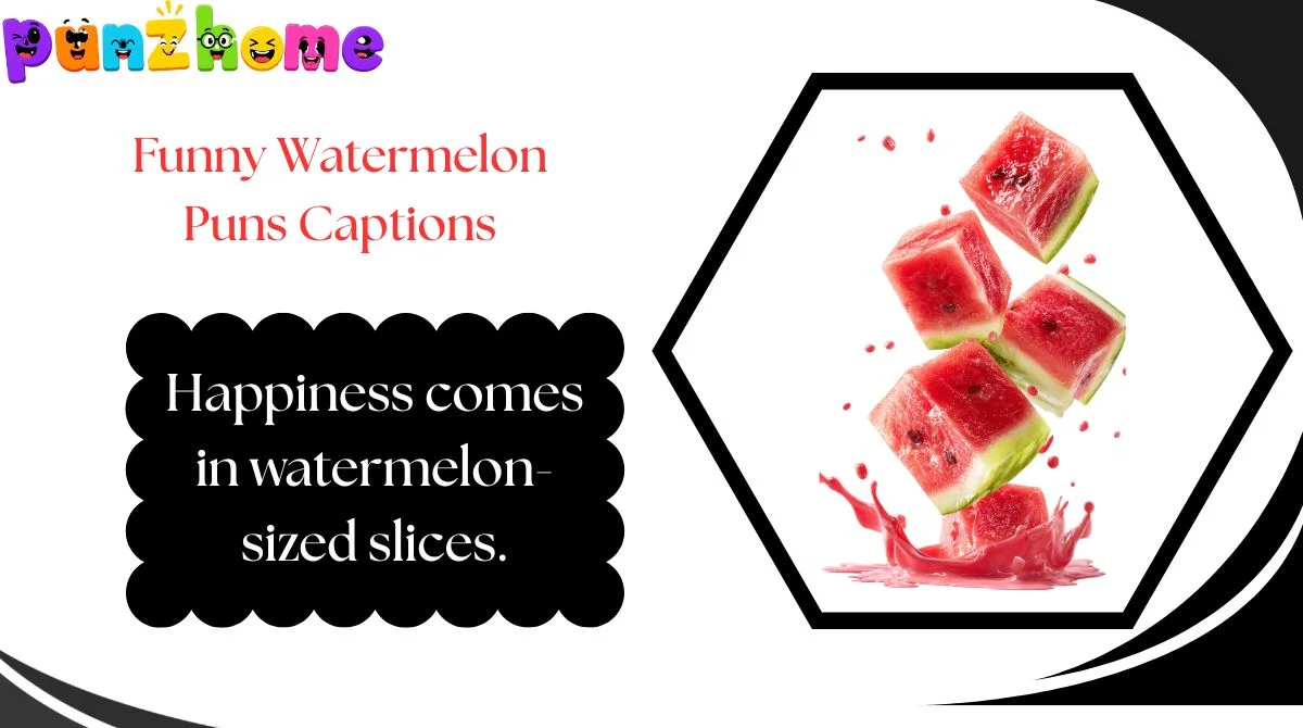 Funny Watermelon Puns Captions