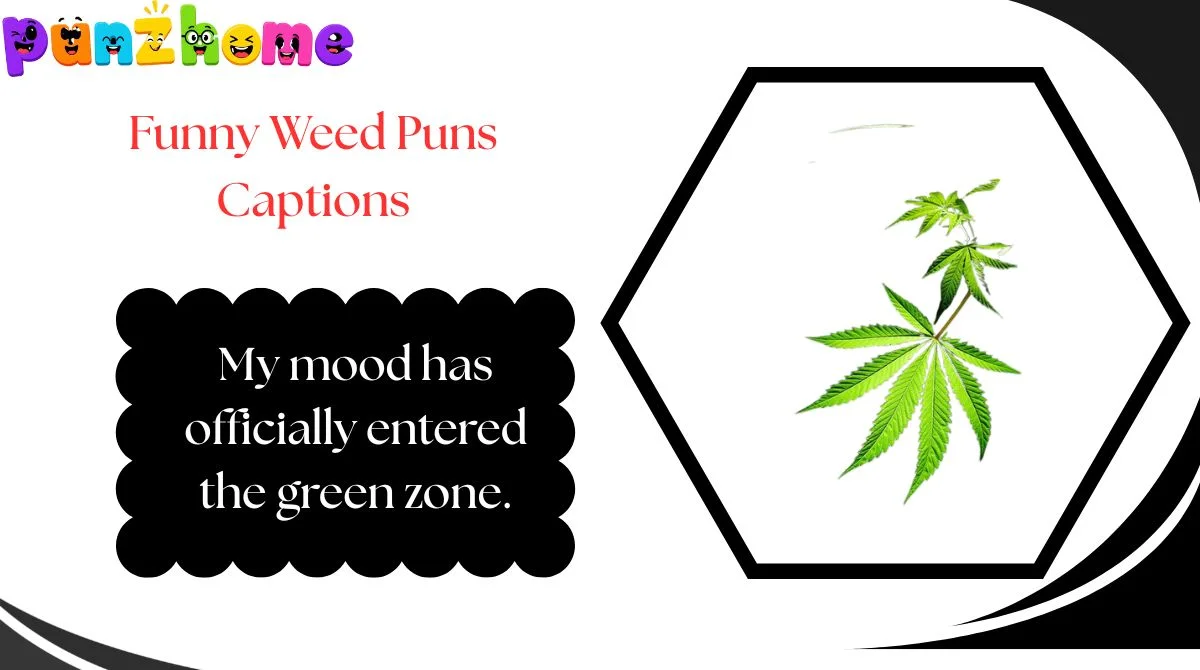 Funny Weed Puns Captions